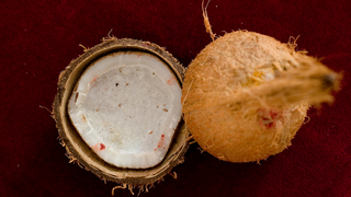 Please Calm Down: Coconut Oil Is Fine
